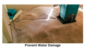 prevent water damage