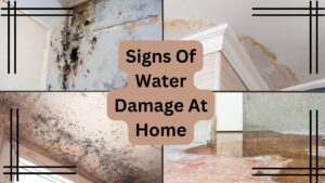 Signs of Water Damage at Home