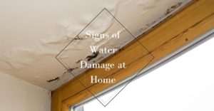 signs of water damage at home