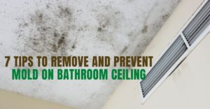 7 Tips to Remove and Prevent Mold on Bathroom Ceiling