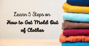 how to get mold smell out of clothes