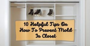 how to prevent mold in closet