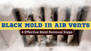 black mold in air vents
