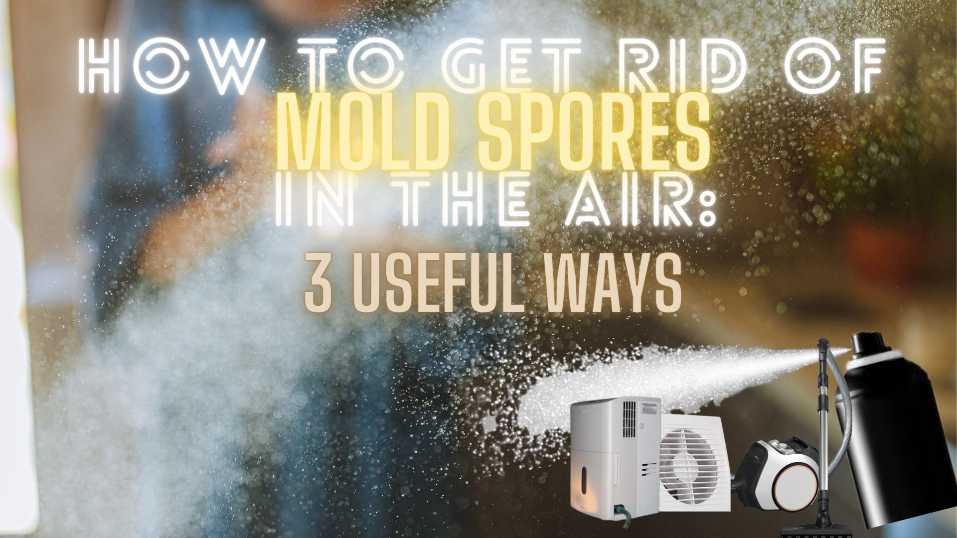 how to get rid of mold spores in the air