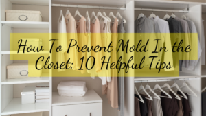 how to prevent mold in closet
