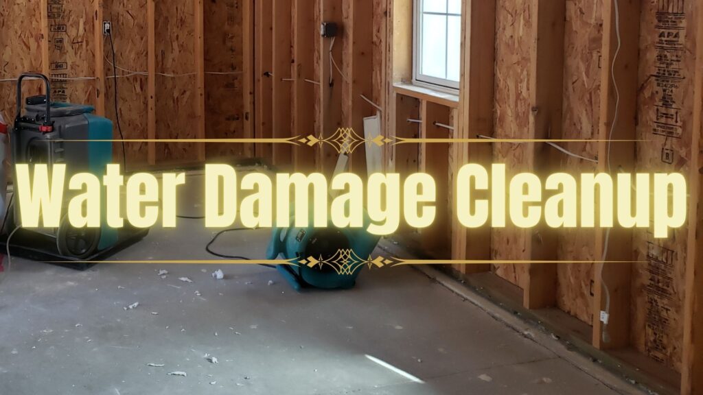 water damage cleanup professionals